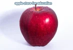 Apple Education Price Student Discounts, Eligibility, and Current Prices