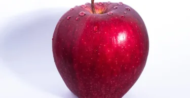 Apple Education Price Student Discounts, Eligibility, and Current Prices