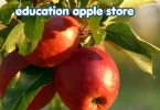 education apple store
