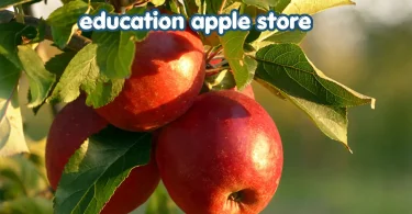 education apple store